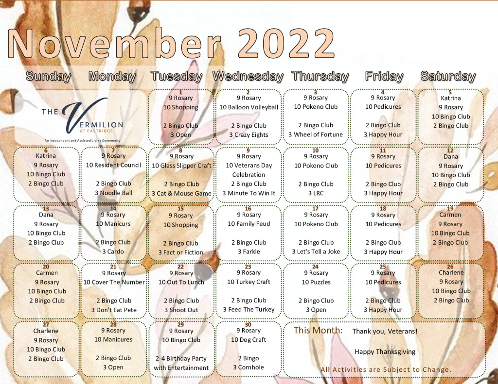 thumbnail of VMLN November 2022 Calendar – edited